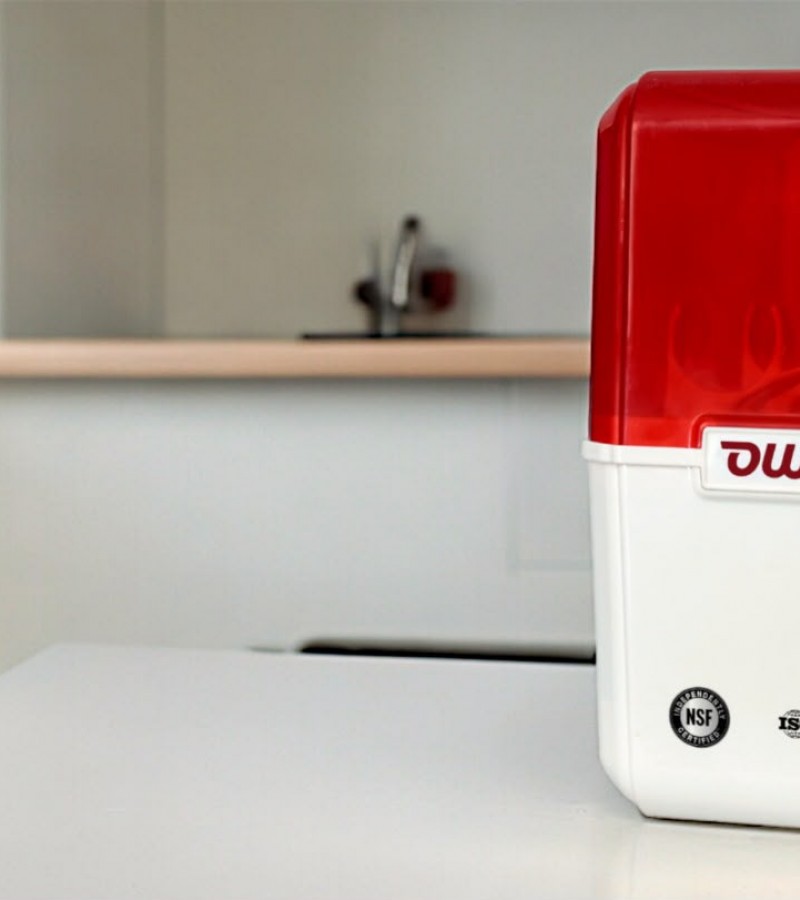 OWIST PLUS